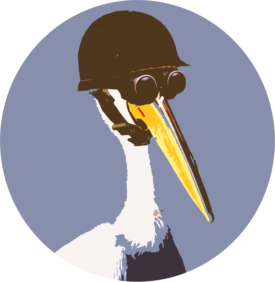 Modest Pelican (Gaming)